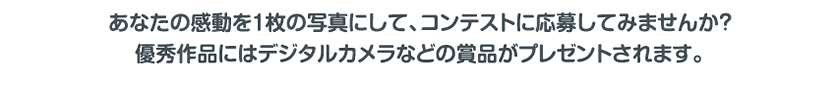 あなたの感動を１枚の写真にして、コンテストに応募してみませんか？
優秀作品にはデジタルカメラなどの賞品がプレゼントされます。